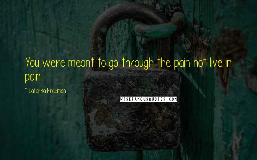 Latorria Freeman Quotes: You were meant to go through the pain not live in pain