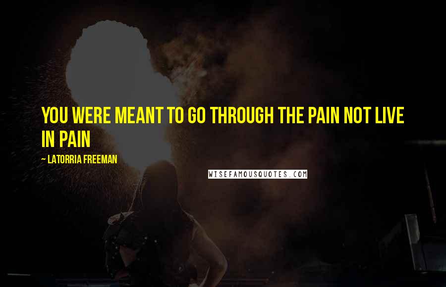 Latorria Freeman Quotes: You were meant to go through the pain not live in pain