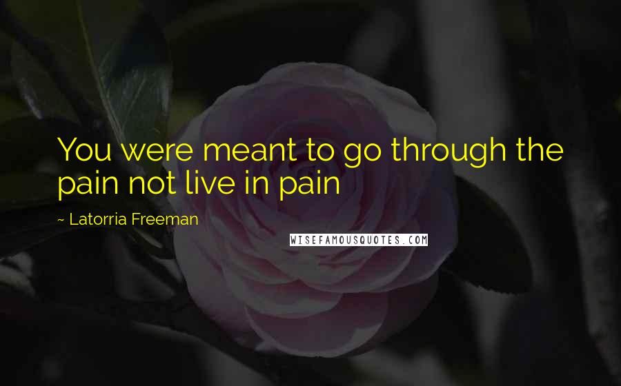 Latorria Freeman Quotes: You were meant to go through the pain not live in pain