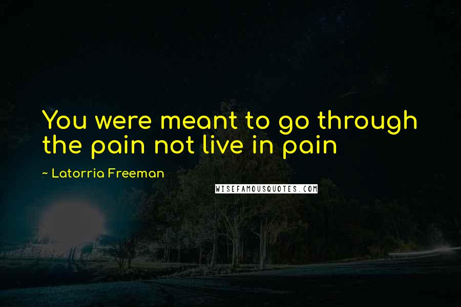 Latorria Freeman Quotes: You were meant to go through the pain not live in pain