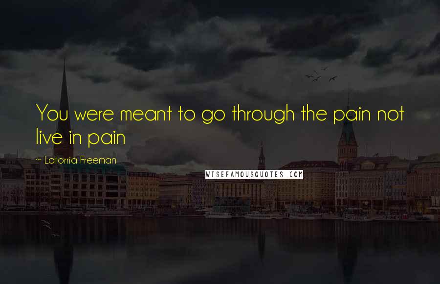 Latorria Freeman Quotes: You were meant to go through the pain not live in pain