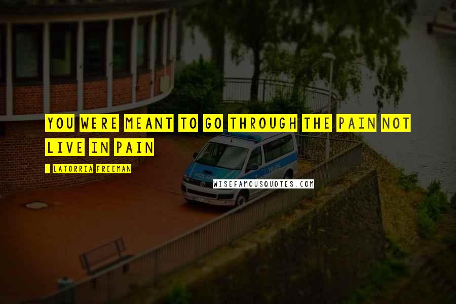 Latorria Freeman Quotes: You were meant to go through the pain not live in pain