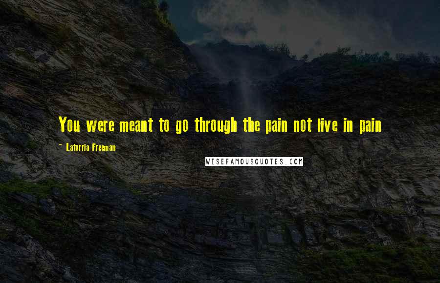 Latorria Freeman Quotes: You were meant to go through the pain not live in pain