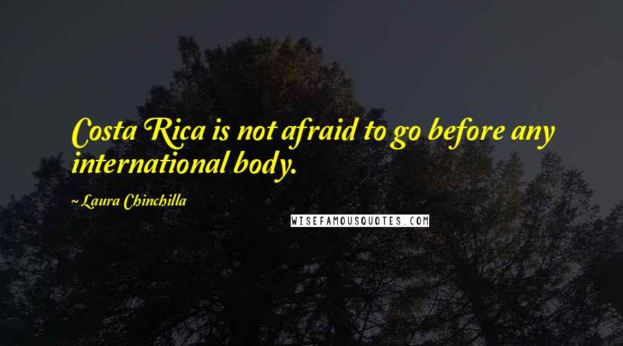 Laura Chinchilla Quotes: Costa Rica is not afraid to go before any international body.