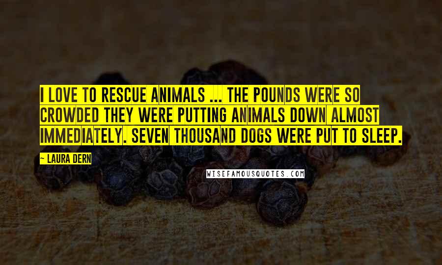 Laura Dern Quotes: I love to rescue animals ... The pounds were so crowded they were putting animals down almost immediately. Seven thousand dogs were put to sleep.