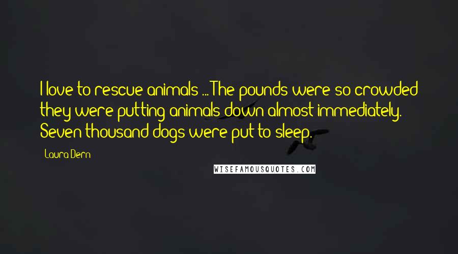 Laura Dern Quotes: I love to rescue animals ... The pounds were so crowded they were putting animals down almost immediately. Seven thousand dogs were put to sleep.