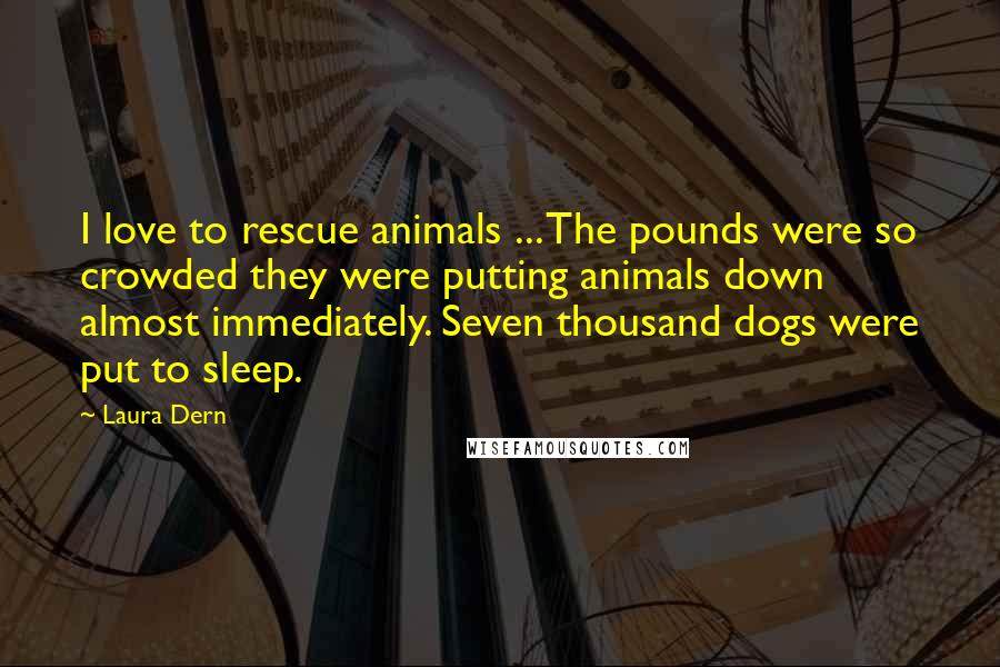 Laura Dern Quotes: I love to rescue animals ... The pounds were so crowded they were putting animals down almost immediately. Seven thousand dogs were put to sleep.