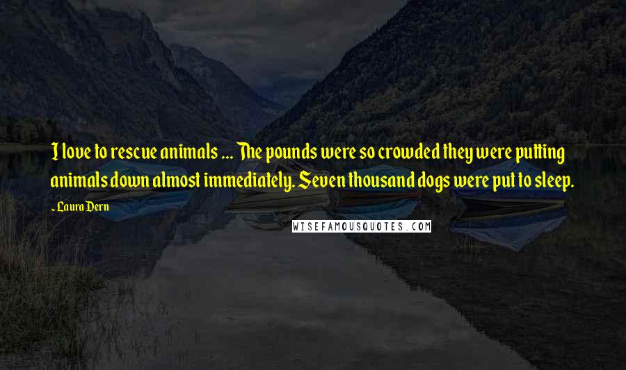 Laura Dern Quotes: I love to rescue animals ... The pounds were so crowded they were putting animals down almost immediately. Seven thousand dogs were put to sleep.