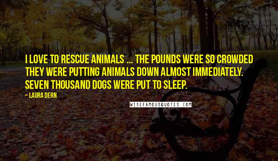 Laura Dern Quotes: I love to rescue animals ... The pounds were so crowded they were putting animals down almost immediately. Seven thousand dogs were put to sleep.