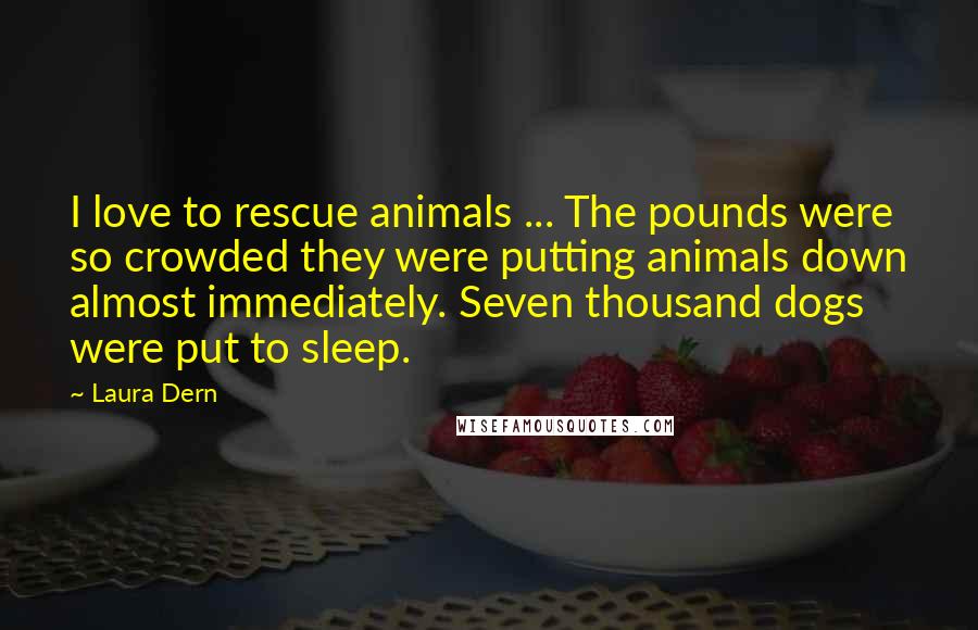 Laura Dern Quotes: I love to rescue animals ... The pounds were so crowded they were putting animals down almost immediately. Seven thousand dogs were put to sleep.