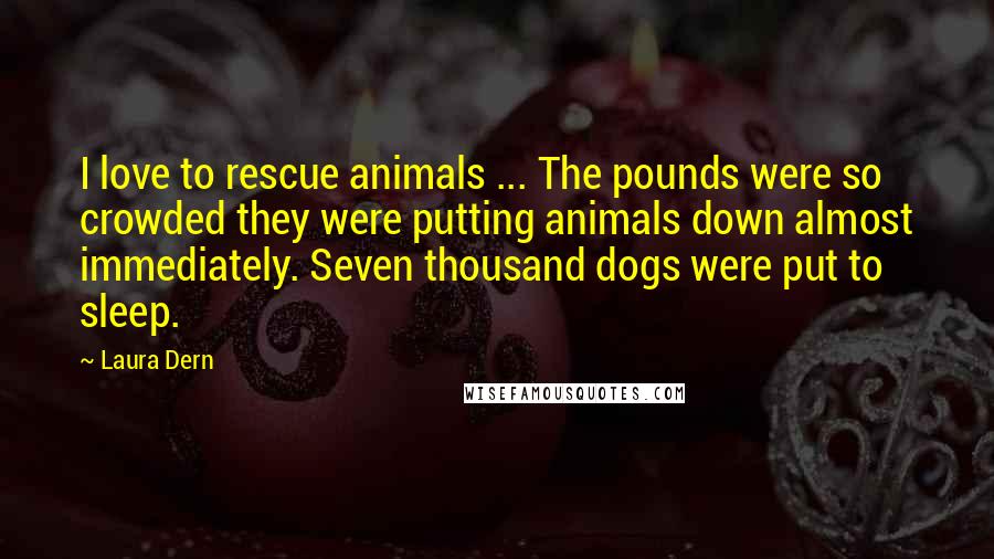 Laura Dern Quotes: I love to rescue animals ... The pounds were so crowded they were putting animals down almost immediately. Seven thousand dogs were put to sleep.