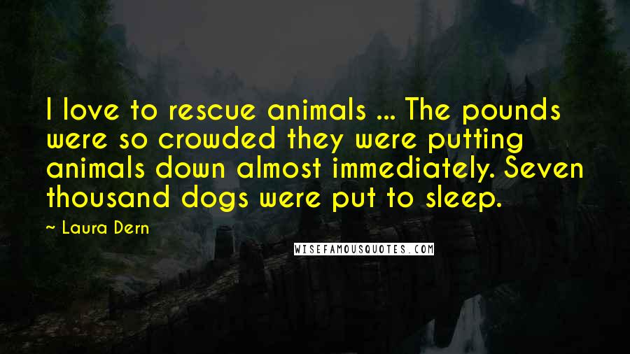 Laura Dern Quotes: I love to rescue animals ... The pounds were so crowded they were putting animals down almost immediately. Seven thousand dogs were put to sleep.