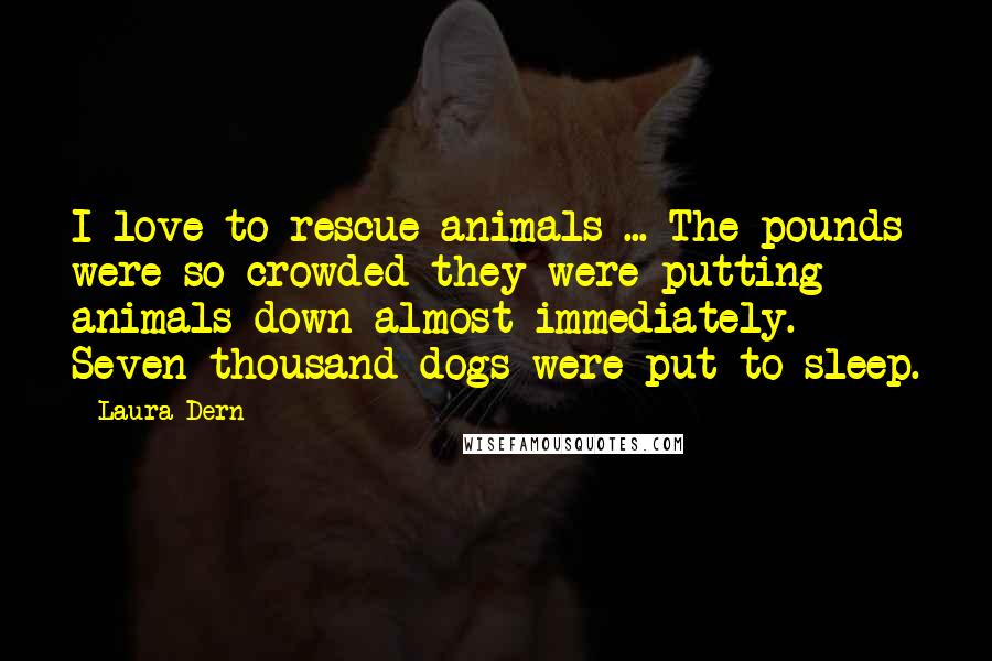 Laura Dern Quotes: I love to rescue animals ... The pounds were so crowded they were putting animals down almost immediately. Seven thousand dogs were put to sleep.