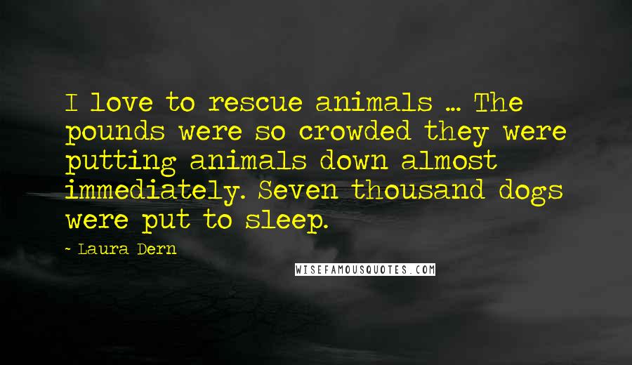 Laura Dern Quotes: I love to rescue animals ... The pounds were so crowded they were putting animals down almost immediately. Seven thousand dogs were put to sleep.