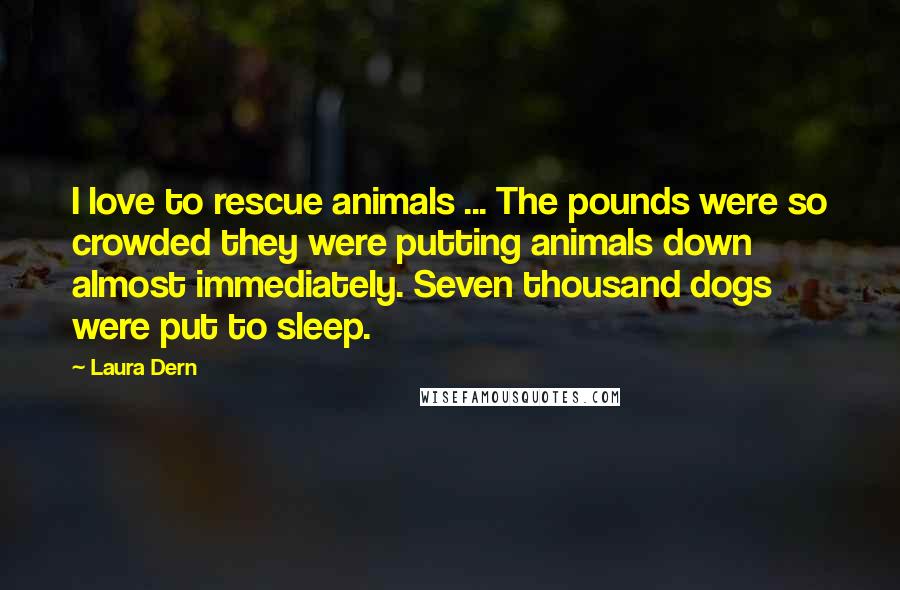 Laura Dern Quotes: I love to rescue animals ... The pounds were so crowded they were putting animals down almost immediately. Seven thousand dogs were put to sleep.