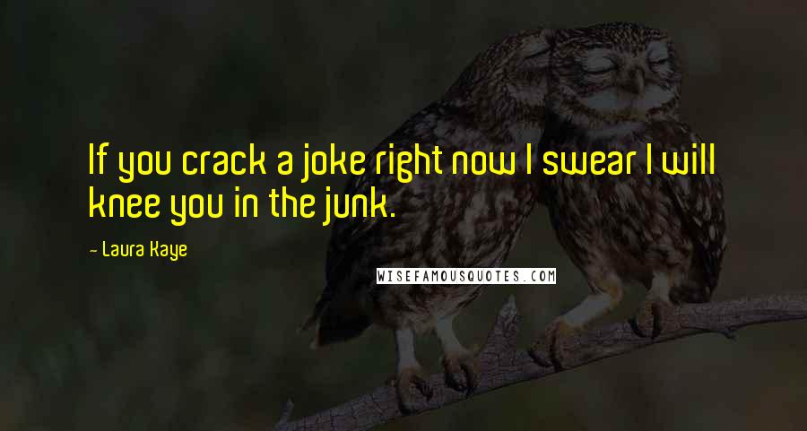 Laura Kaye Quotes: If you crack a joke right now I swear I will knee you in the junk.