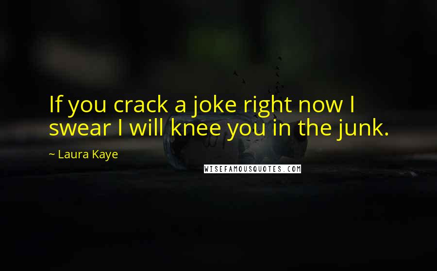 Laura Kaye Quotes: If you crack a joke right now I swear I will knee you in the junk.