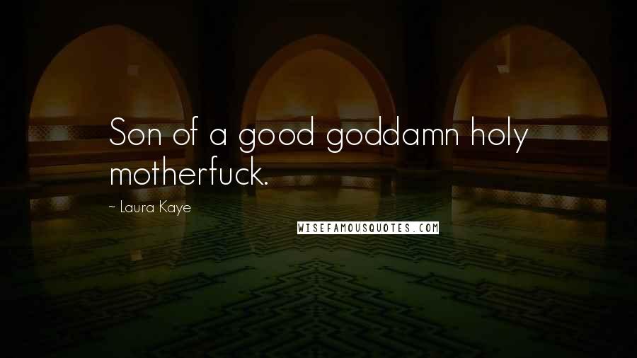 Laura Kaye Quotes: Son of a good goddamn holy motherfuck.