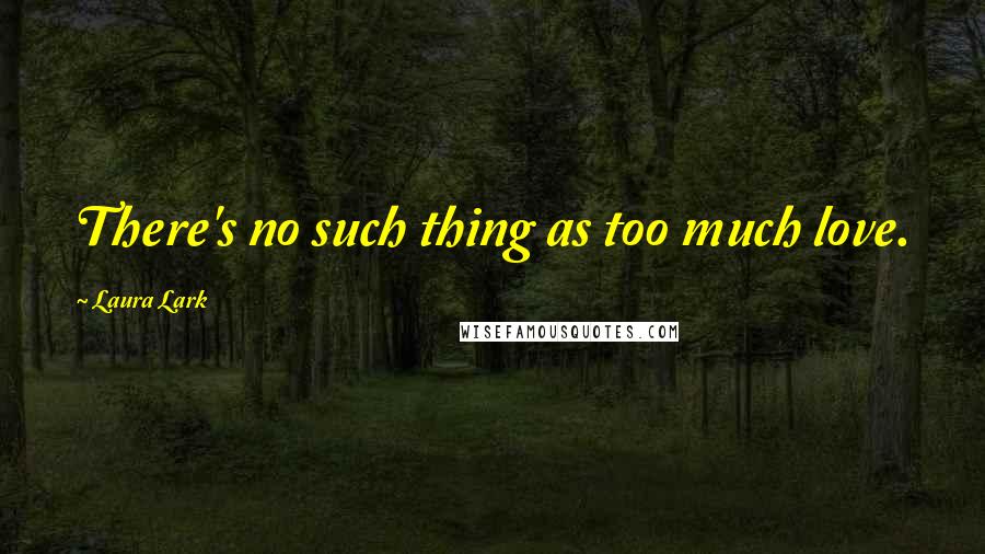 Laura Lark Quotes: There's no such thing as too much love.