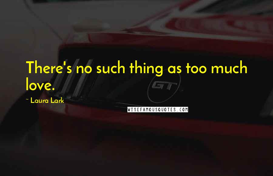 Laura Lark Quotes: There's no such thing as too much love.