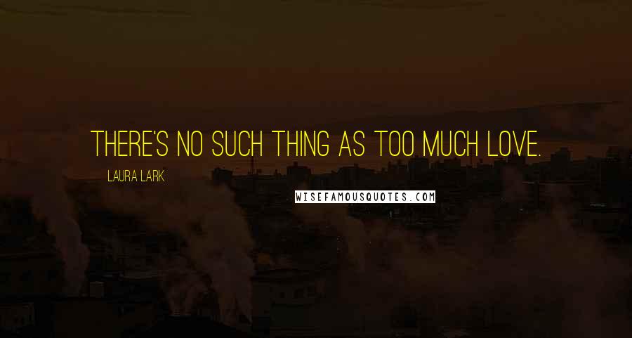 Laura Lark Quotes: There's no such thing as too much love.