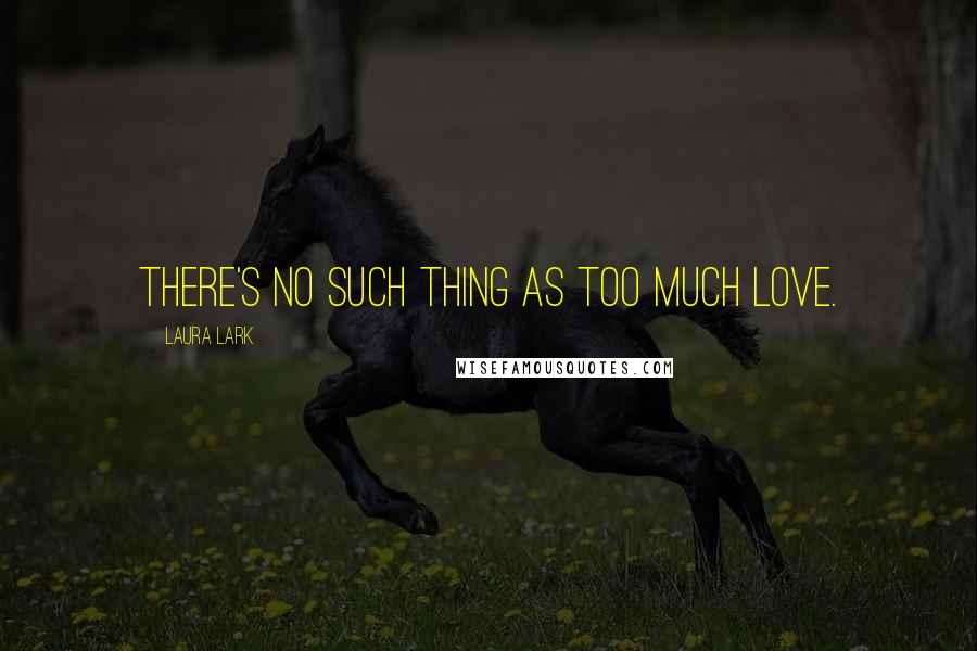 Laura Lark Quotes: There's no such thing as too much love.