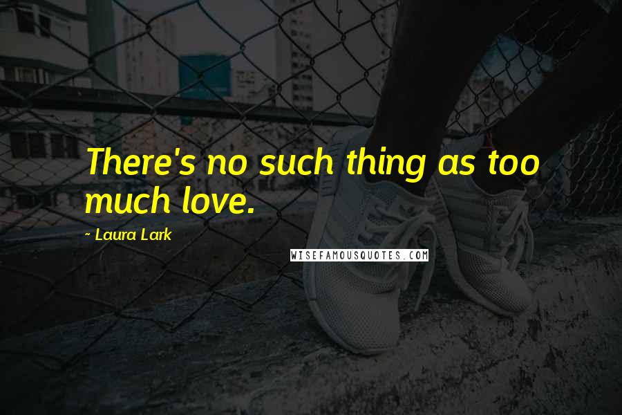 Laura Lark Quotes: There's no such thing as too much love.