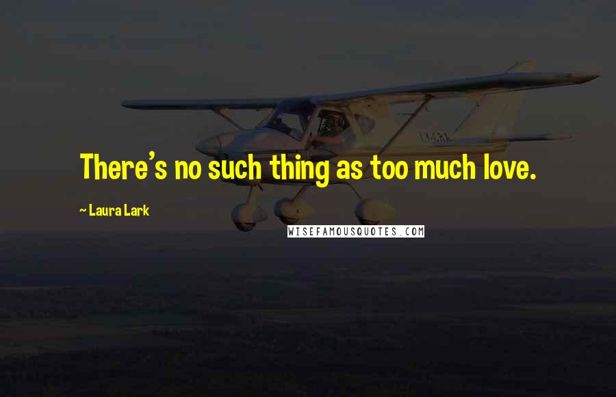 Laura Lark Quotes: There's no such thing as too much love.