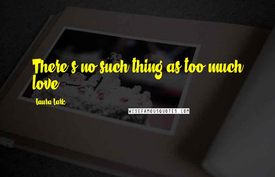 Laura Lark Quotes: There's no such thing as too much love.