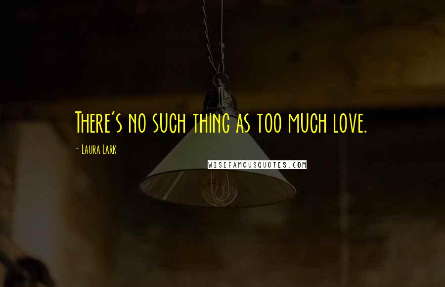 Laura Lark Quotes: There's no such thing as too much love.