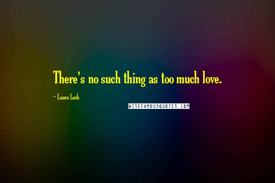 Laura Lark Quotes: There's no such thing as too much love.