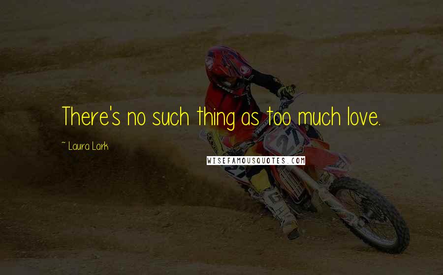 Laura Lark Quotes: There's no such thing as too much love.