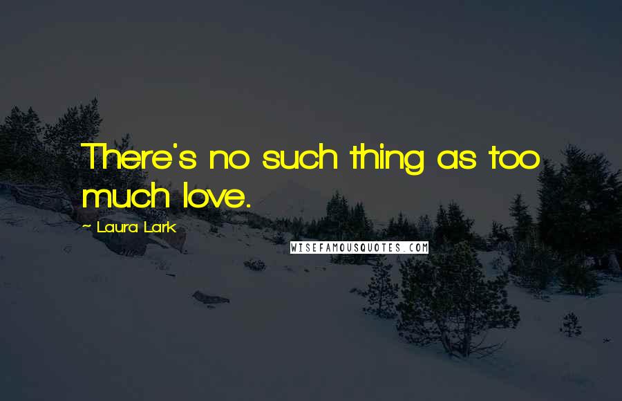 Laura Lark Quotes: There's no such thing as too much love.