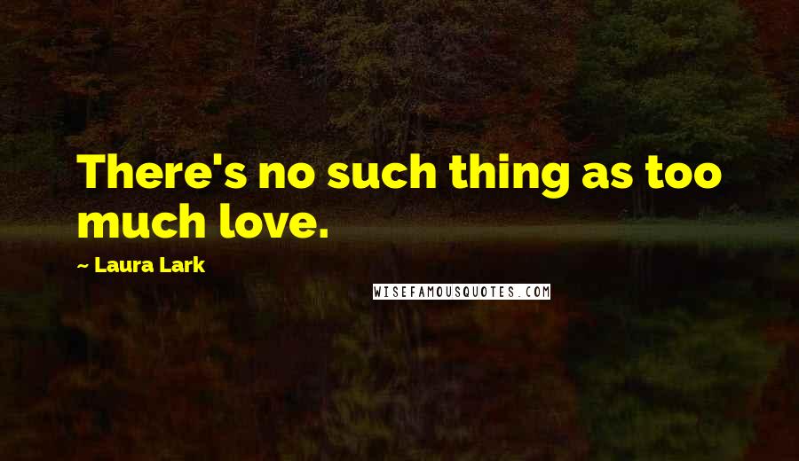 Laura Lark Quotes: There's no such thing as too much love.