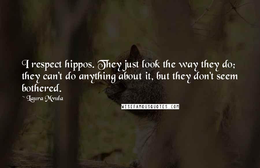 Laura Mvula Quotes: I respect hippos. They just look the way they do; they can't do anything about it, but they don't seem bothered.