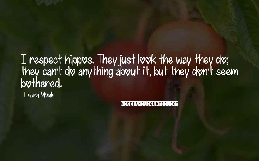 Laura Mvula Quotes: I respect hippos. They just look the way they do; they can't do anything about it, but they don't seem bothered.