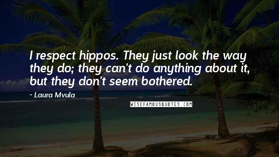 Laura Mvula Quotes: I respect hippos. They just look the way they do; they can't do anything about it, but they don't seem bothered.