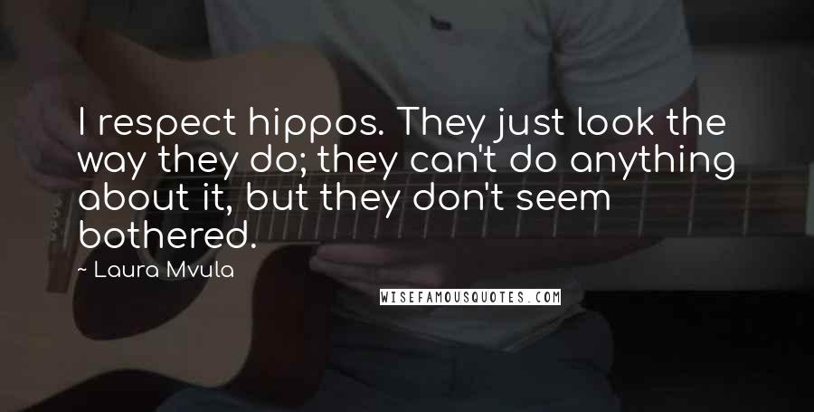 Laura Mvula Quotes: I respect hippos. They just look the way they do; they can't do anything about it, but they don't seem bothered.