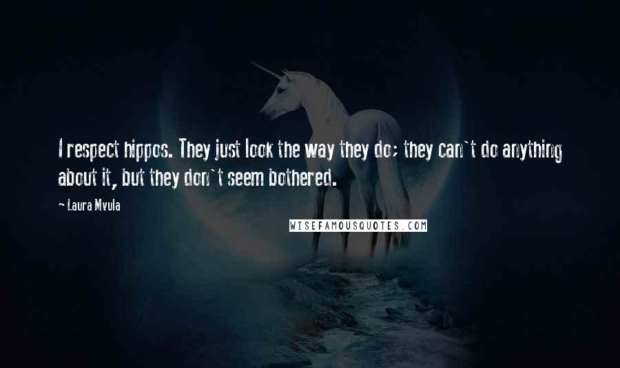 Laura Mvula Quotes: I respect hippos. They just look the way they do; they can't do anything about it, but they don't seem bothered.