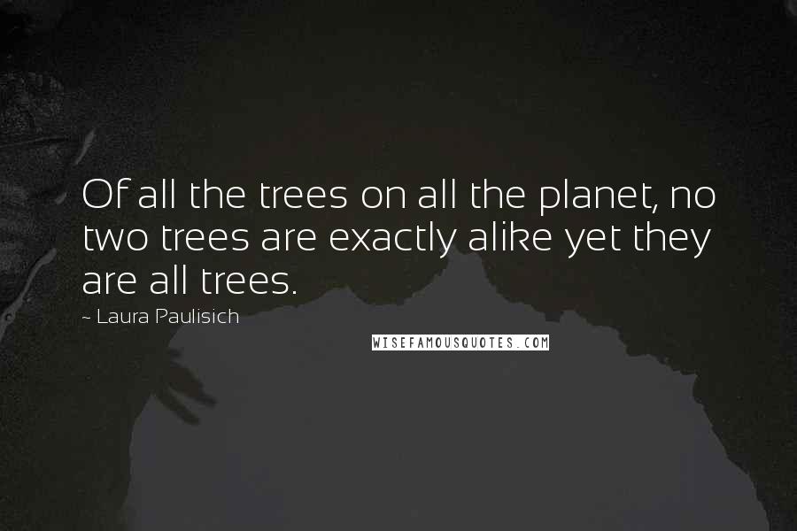 Laura Paulisich Quotes: Of all the trees on all the planet, no two trees are exactly alike yet they are all trees.