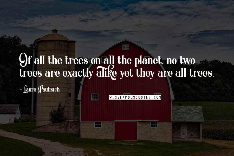 Laura Paulisich Quotes: Of all the trees on all the planet, no two trees are exactly alike yet they are all trees.