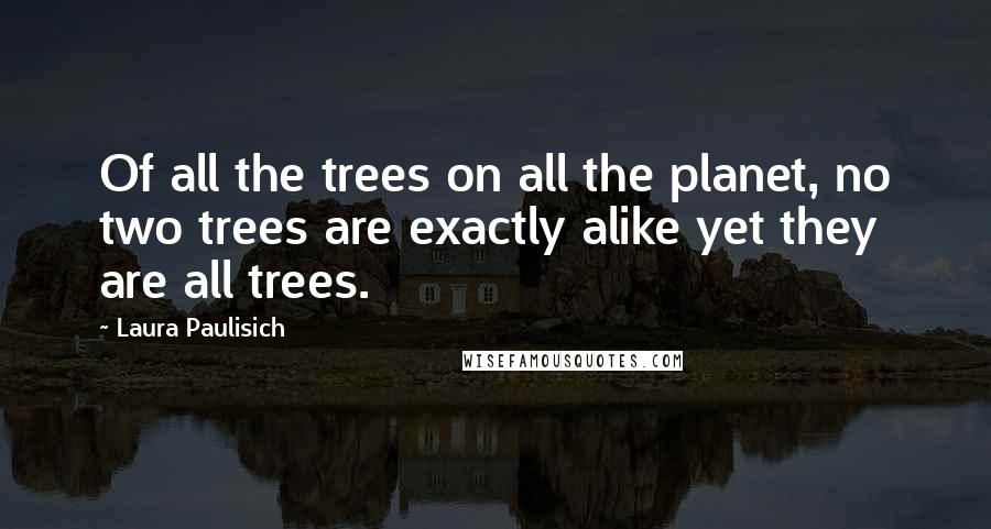 Laura Paulisich Quotes: Of all the trees on all the planet, no two trees are exactly alike yet they are all trees.