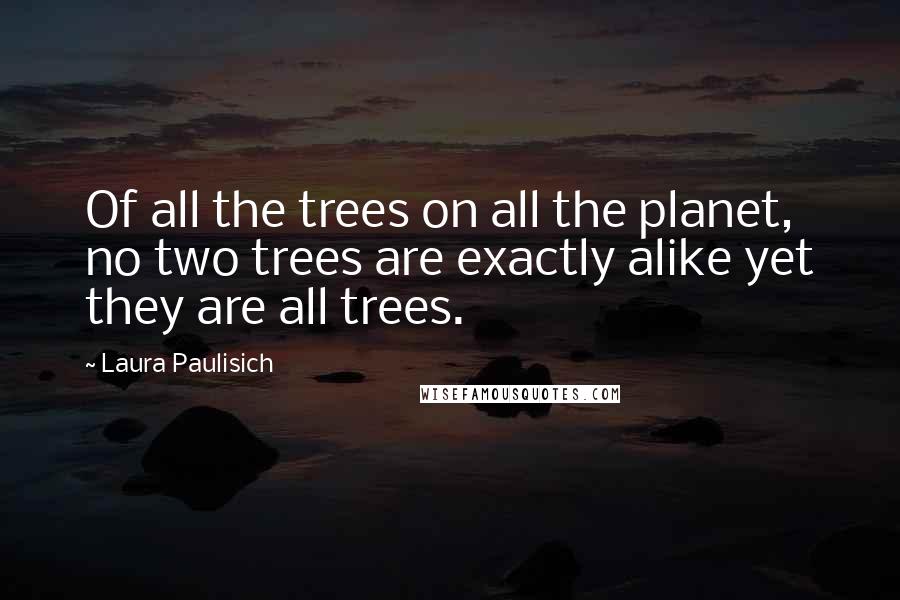 Laura Paulisich Quotes: Of all the trees on all the planet, no two trees are exactly alike yet they are all trees.