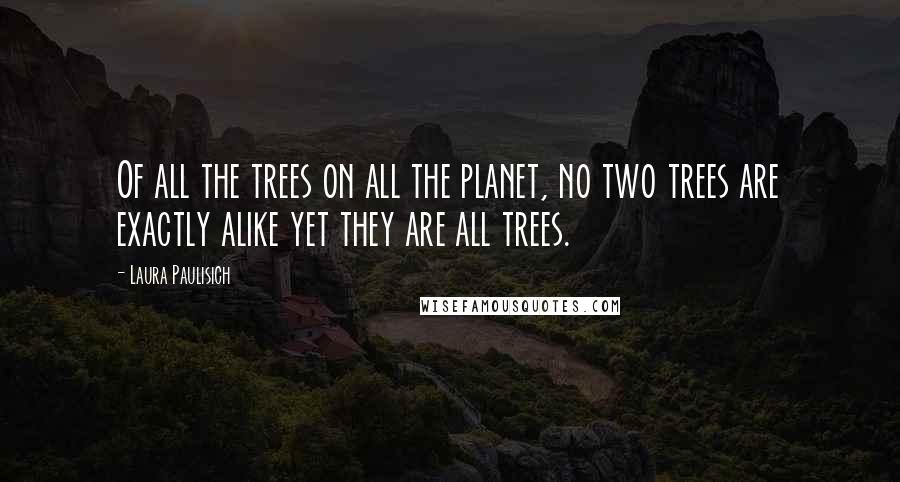 Laura Paulisich Quotes: Of all the trees on all the planet, no two trees are exactly alike yet they are all trees.