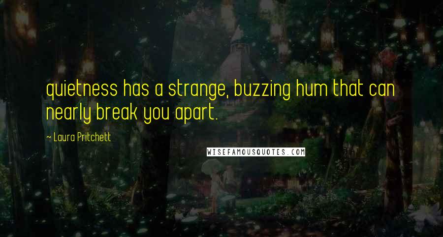 Laura Pritchett Quotes: quietness has a strange, buzzing hum that can nearly break you apart.