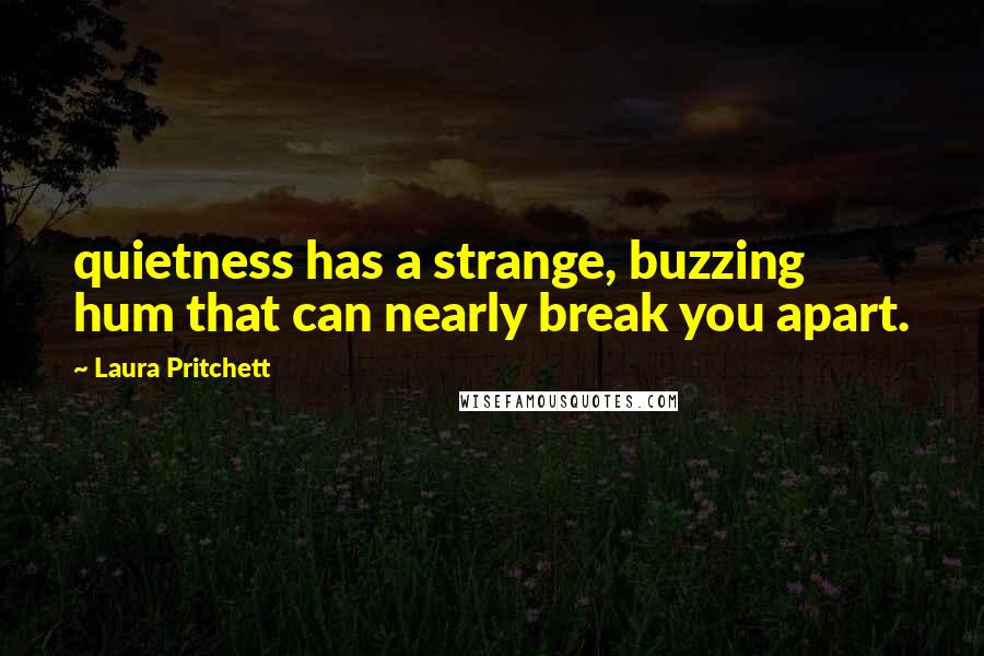 Laura Pritchett Quotes: quietness has a strange, buzzing hum that can nearly break you apart.