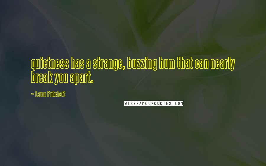 Laura Pritchett Quotes: quietness has a strange, buzzing hum that can nearly break you apart.