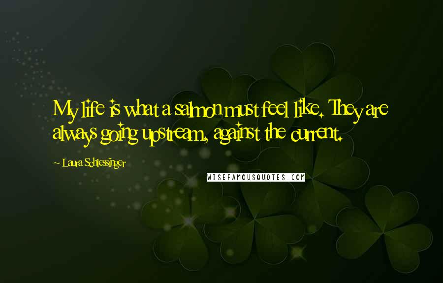 Laura Schlessinger Quotes: My life is what a salmon must feel like. They are always going upstream, against the current.