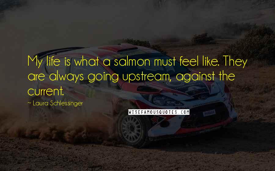 Laura Schlessinger Quotes: My life is what a salmon must feel like. They are always going upstream, against the current.