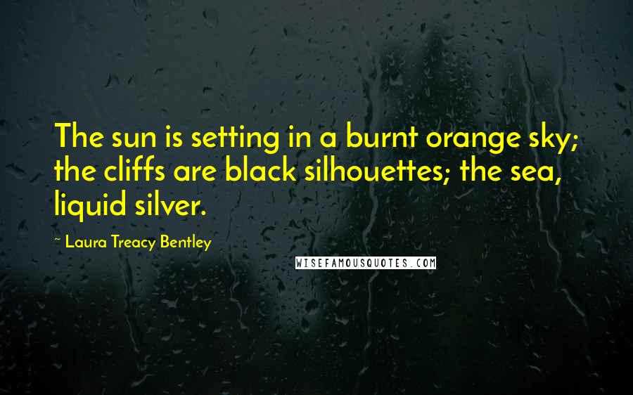Laura Treacy Bentley Quotes: The sun is setting in a burnt orange sky; the cliffs are black silhouettes; the sea, liquid silver.